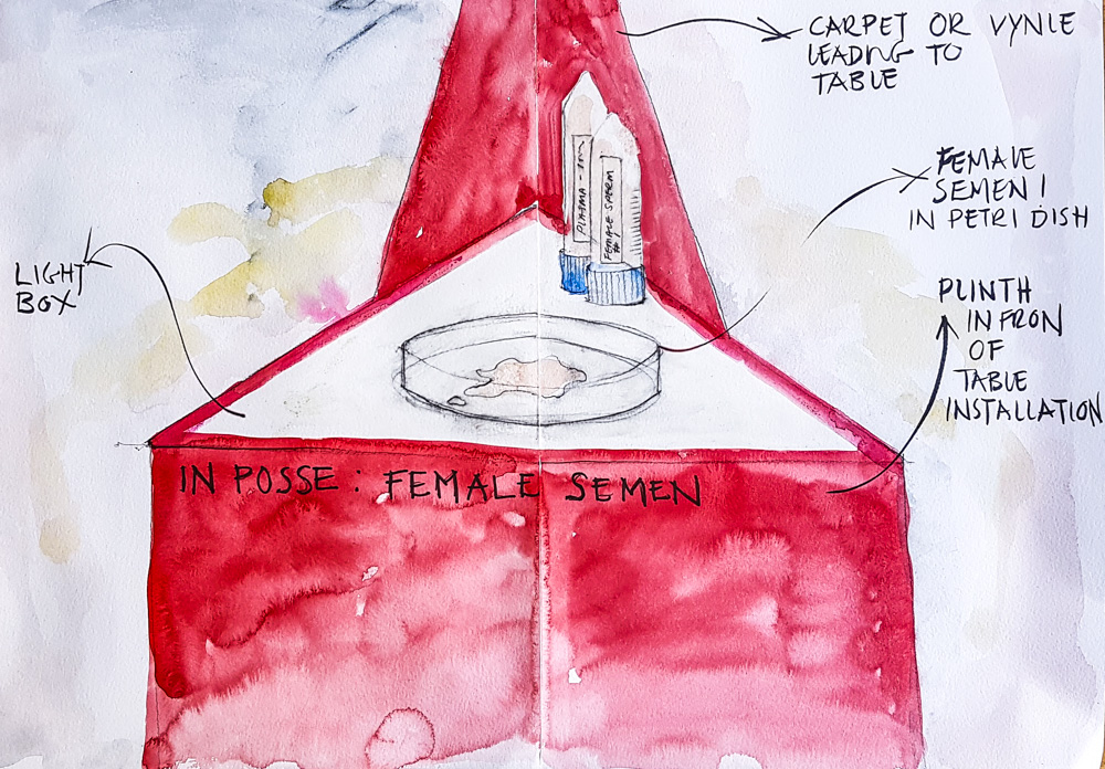 sketch detailing female semen and details of in posse