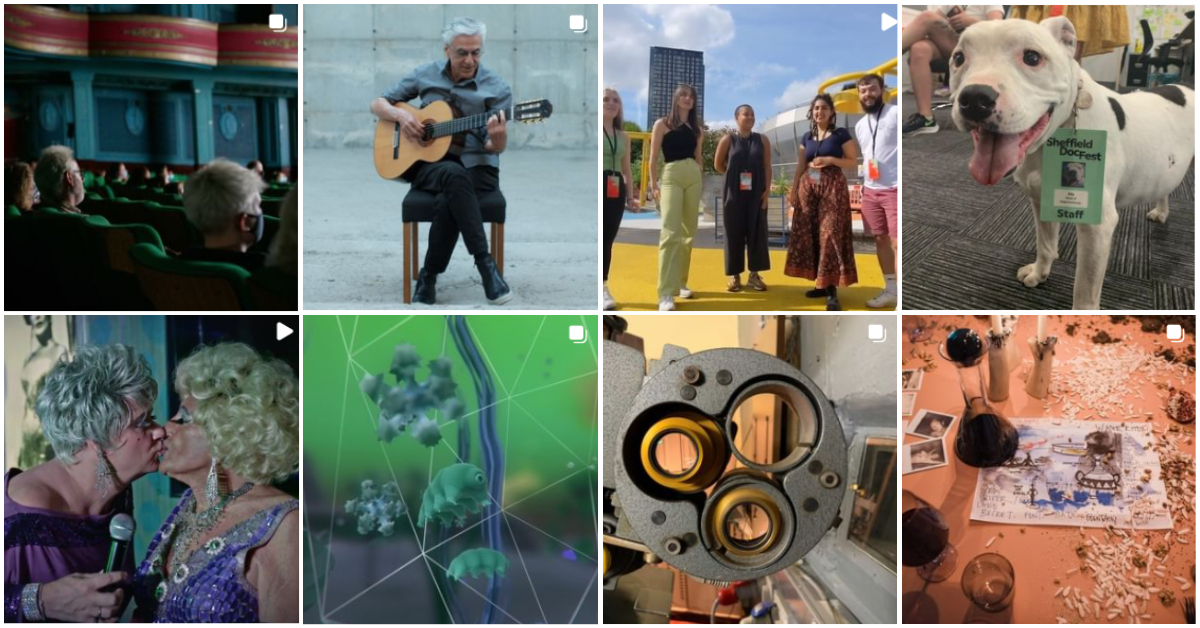 Composite of eight images. 1. A group of masked people sit in a cinema. 2. A white-haired man sits on a chair, playing guitar in front of a concrete wall. 3. Five people stand in a line on a yellow pavement, against a city skyline. 4. A dog looks to camera, wearing a badge which reads "Sheffield DocFest". 5. Profile shot of two drag queens kissing. 6. Green and blue telescopic image of amoeba. 7. Side view of a film projector. 8. View of a table with nuts scattered across it.  