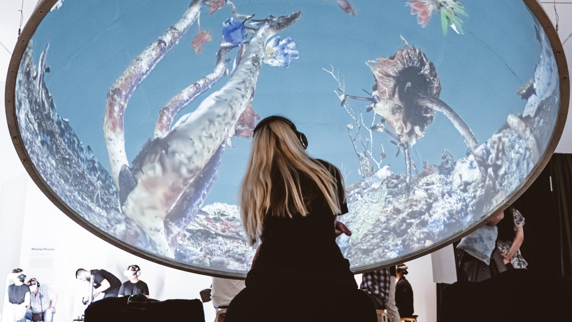 A person looking at the ‘Dancing with Dead Animals’ installation at the Sheffield DocFest 2023 Alternate Realities exhibition.