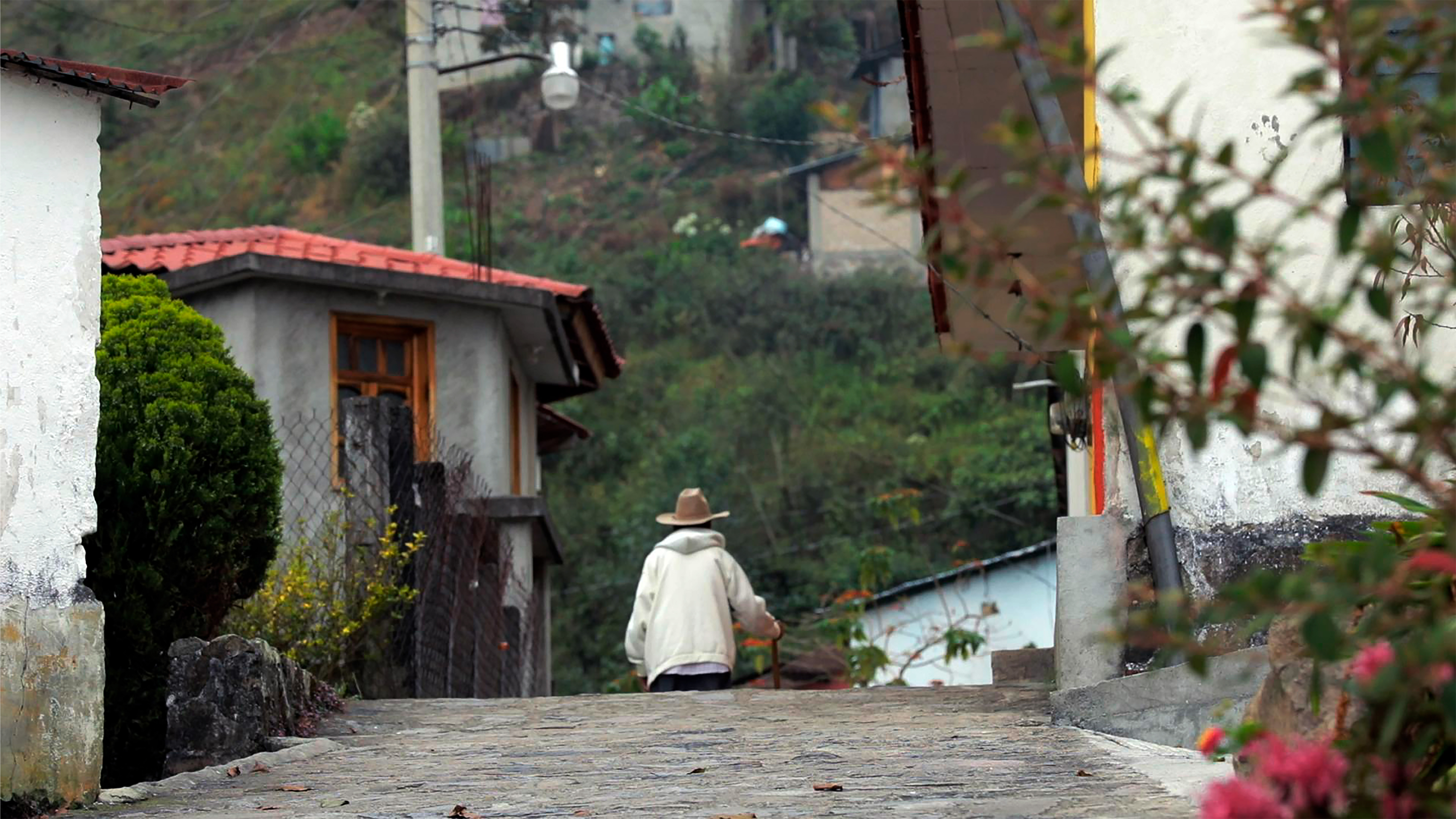 A person walks down a narrow, cobblestone street between two buildings. The individual, wearing a beige hat and a white jacket, is seen from behind as they stroll toward the hillside in the distance, surrounded by greenery and colorful flowers