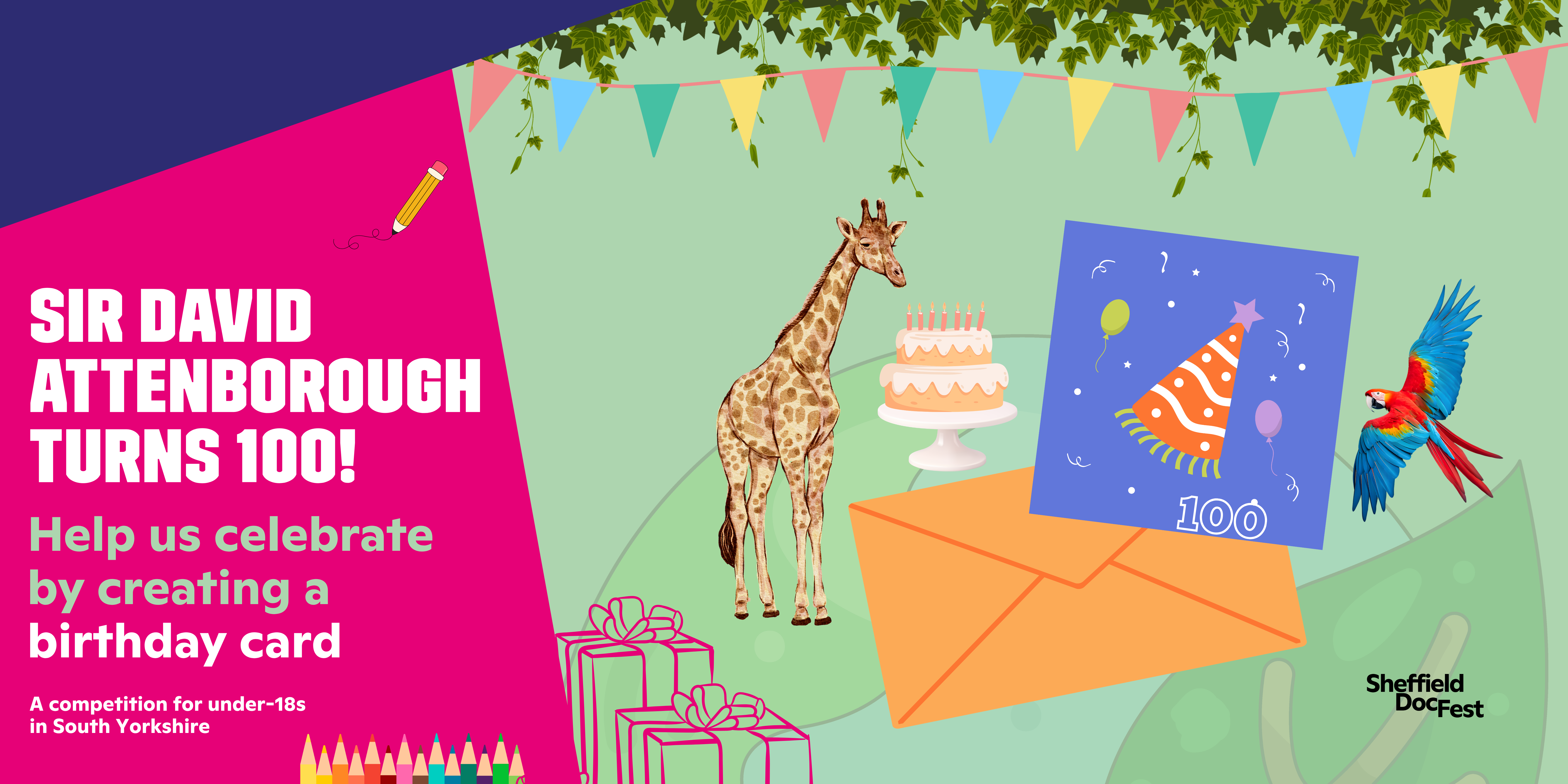 A graphic of our David Attenborough competition.