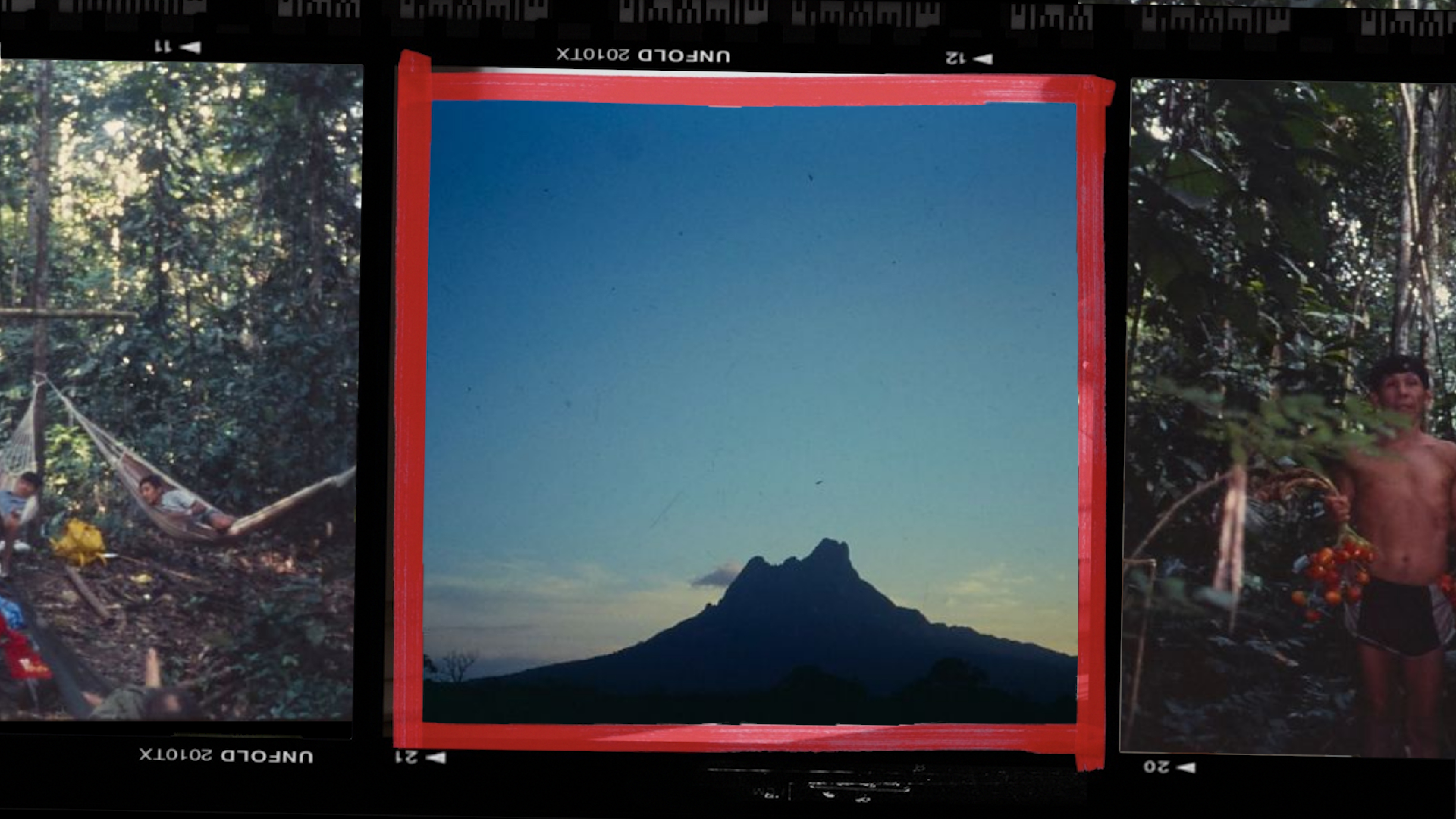 A collage of film strip images shows scenes in a forest, including a person resting in a hammock, a silhouetted mountain framed in red, and a person holding harvested fruit among trees.