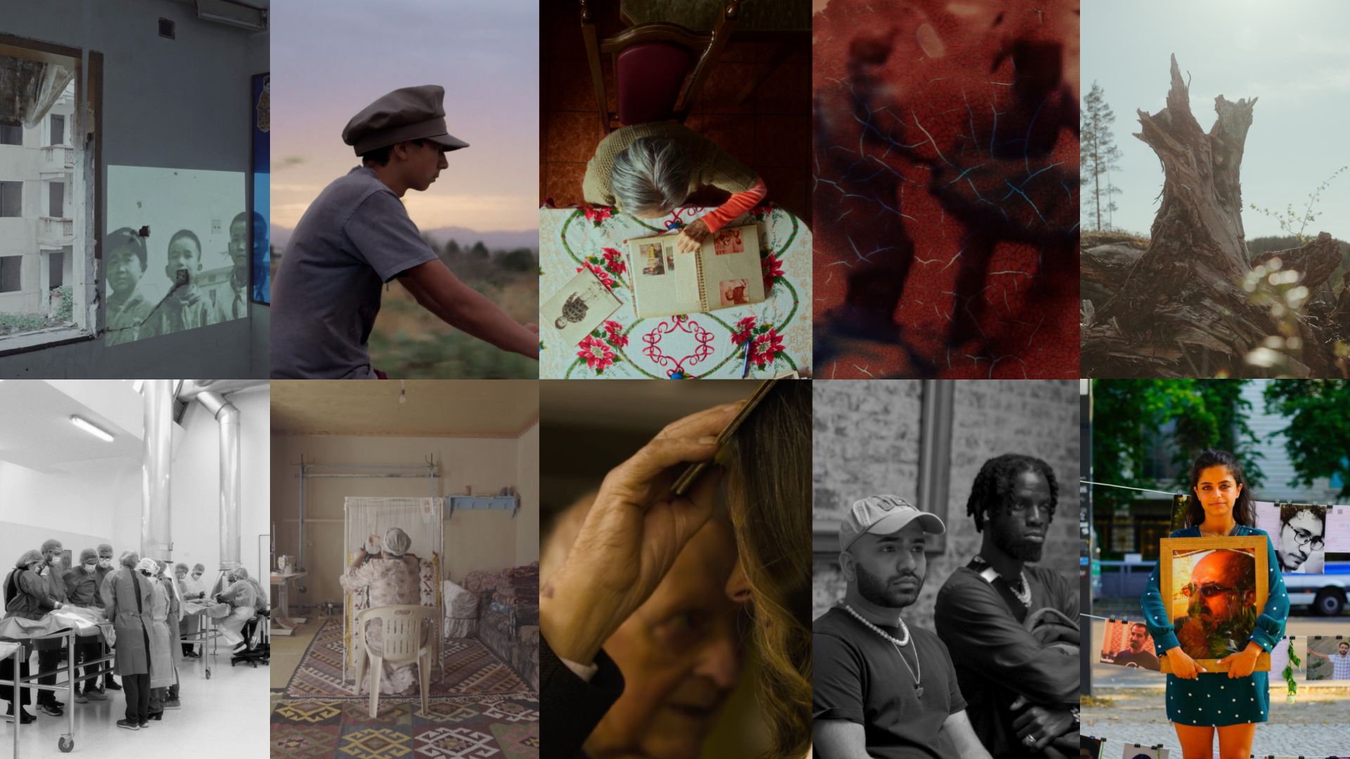 International Short Film Competition films