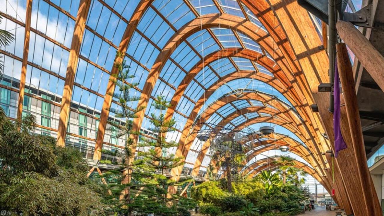 sheffield winter garden