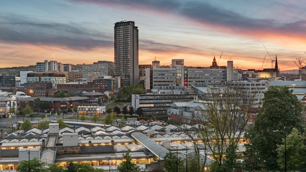 Skyline view of Sheffield showing lots of commercial office buildings. A few green trees can be seen in between the buildings. The sun is setting in the background. 