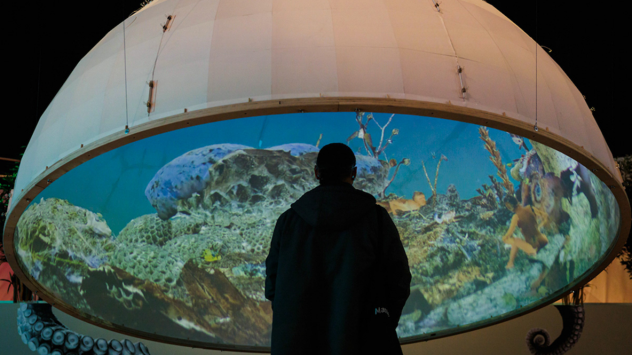 A male silhouette against an aquarium.