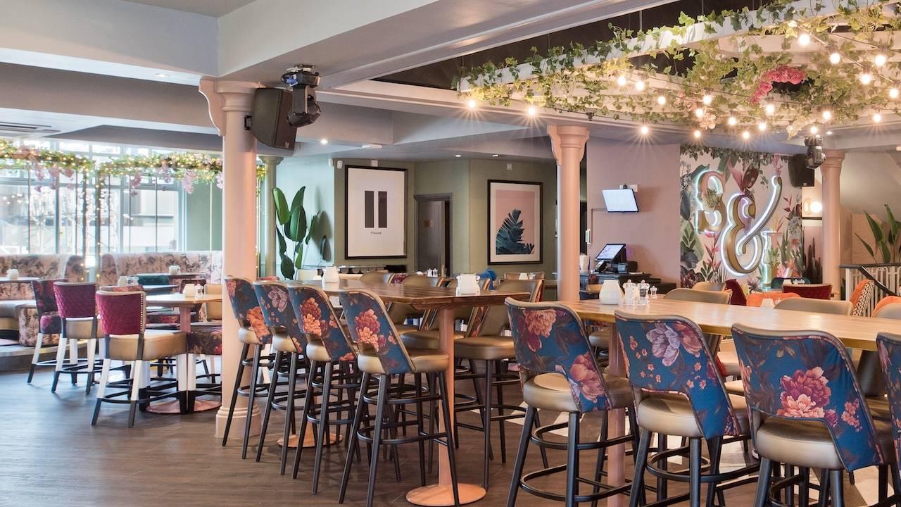 interior of slug and lettuce