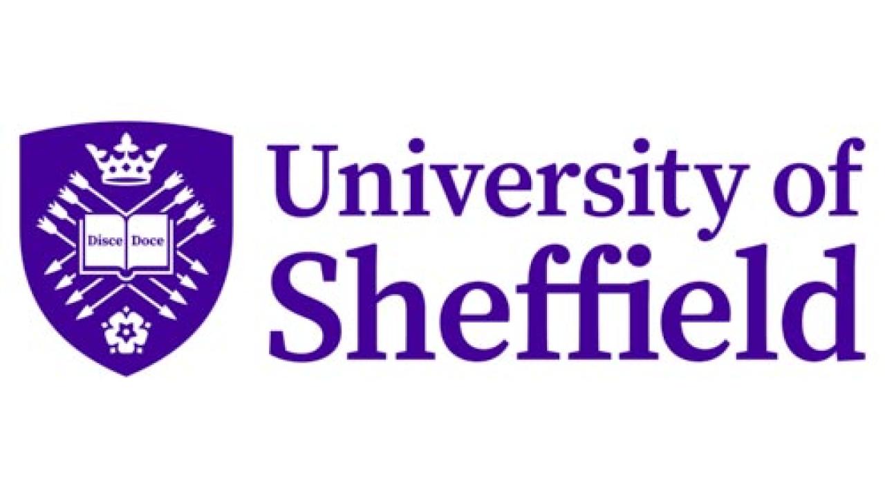 University of Sheffield