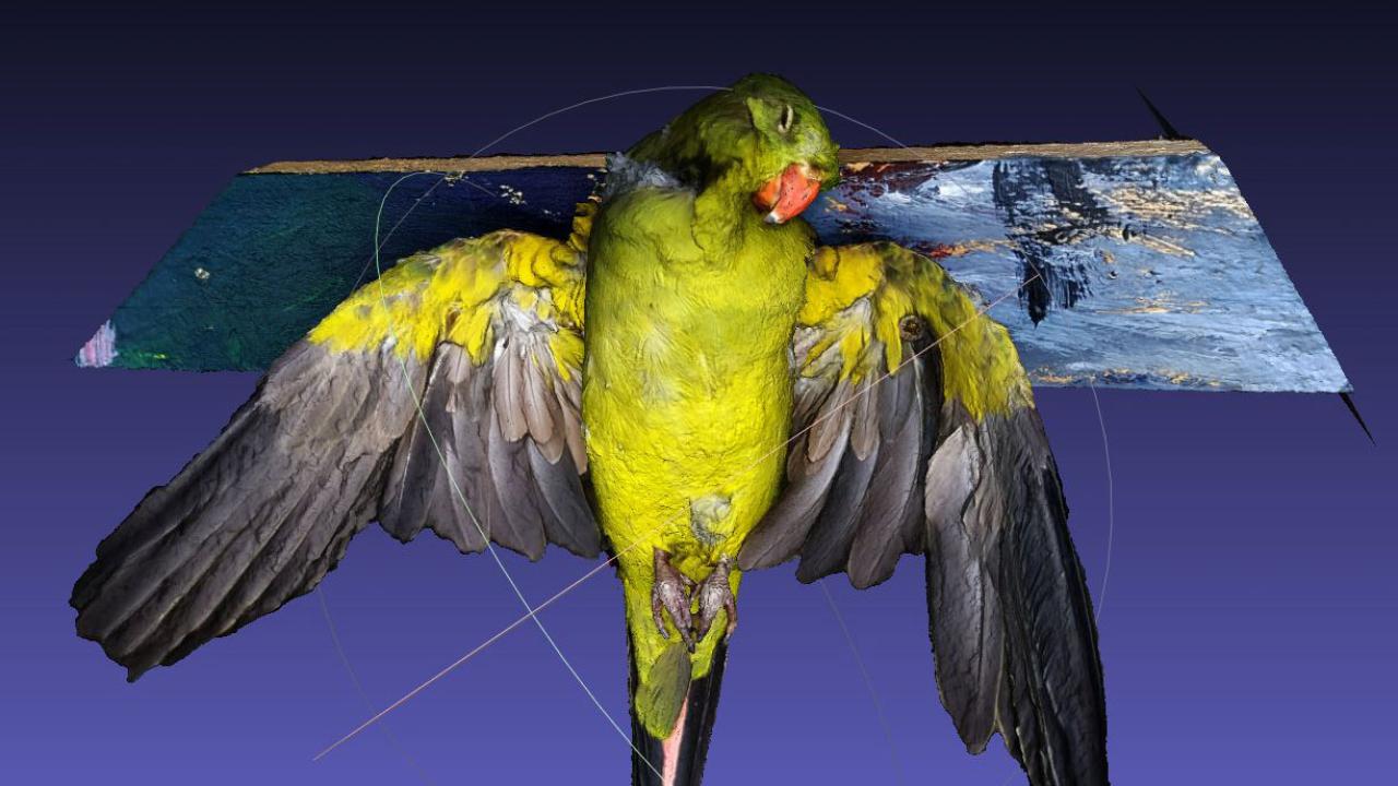 Digitally constructed image of a yellow/green bird.