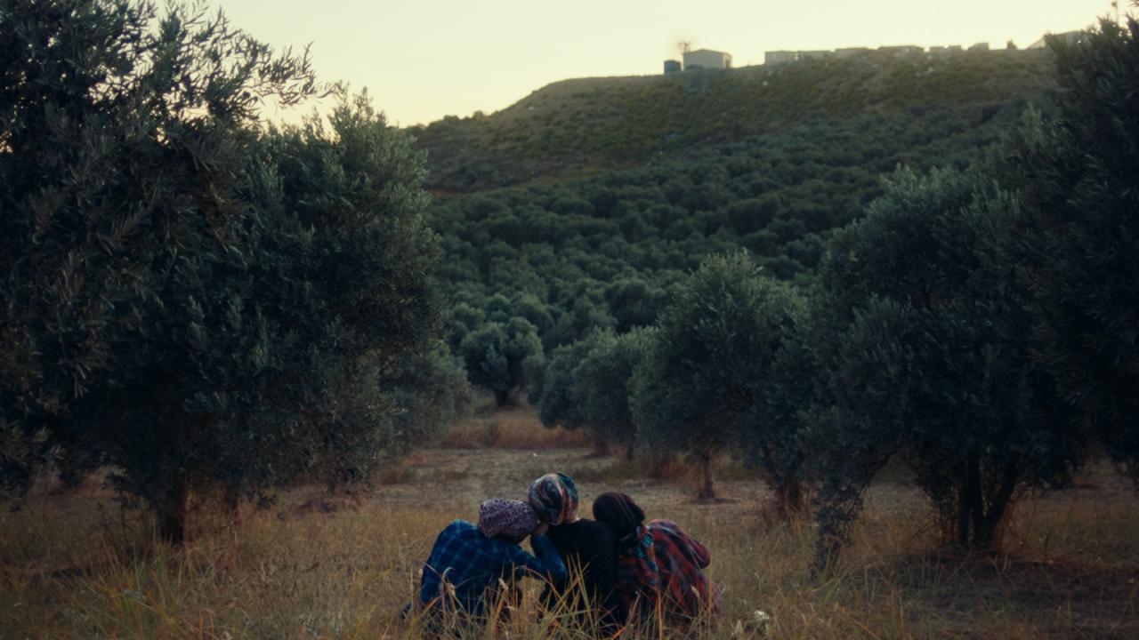 Three figures sit close together on a grassy path between olive trees, facing a densely wooded hillside under a soft, fading light. Their heads are wrapped in patterned scarves, and their backs are turned to the camera.