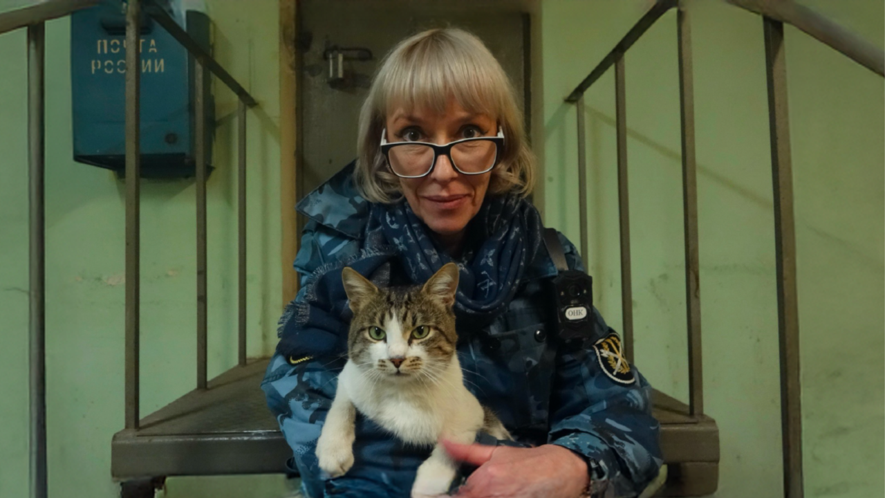 A woman with short blonde hair and large glasses sits on a metal stair platform in a dimly lit, institutional hallway with pale green walls. She wears a blue camouflage uniform with a shoulder patch and a radio clipped to her chest. In her lap rests a cat, its front legs draped casually over her arms. Behind her is a heavy metal door and a blue mailbox labeled in Cyrillic.