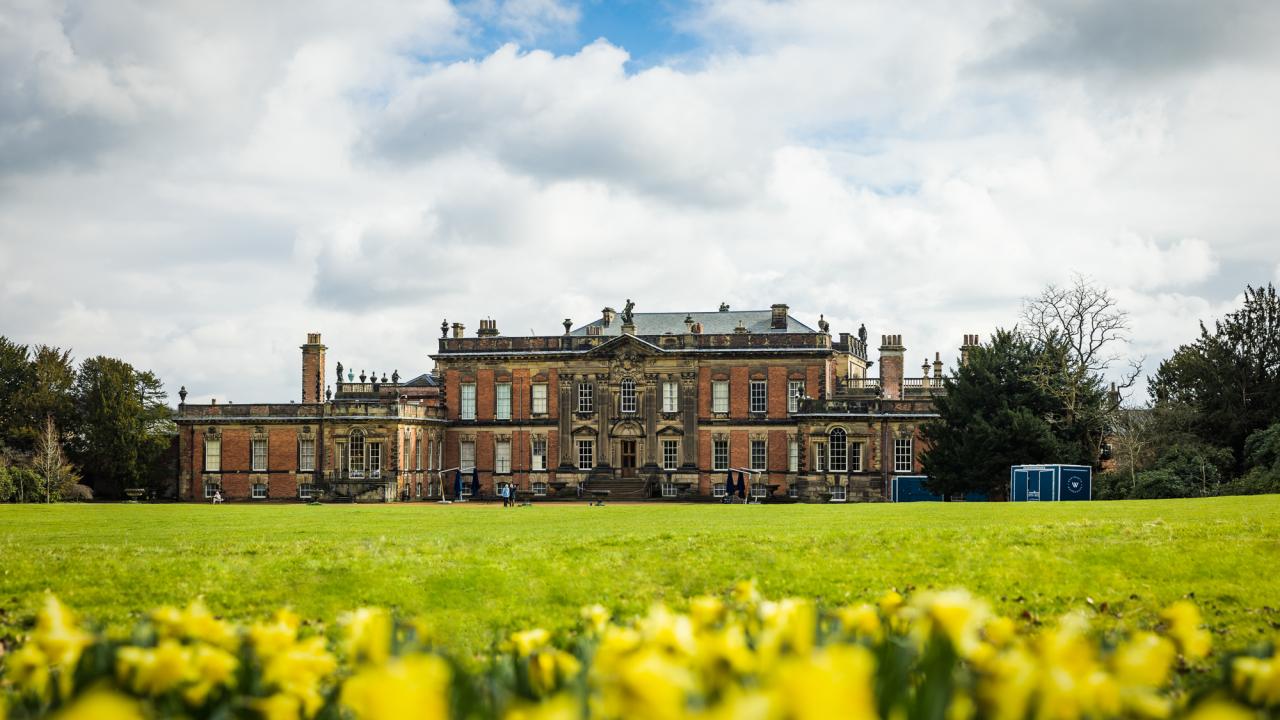 A view of a large stately home, with a lawn infront and small yellow flowers in the foreground.