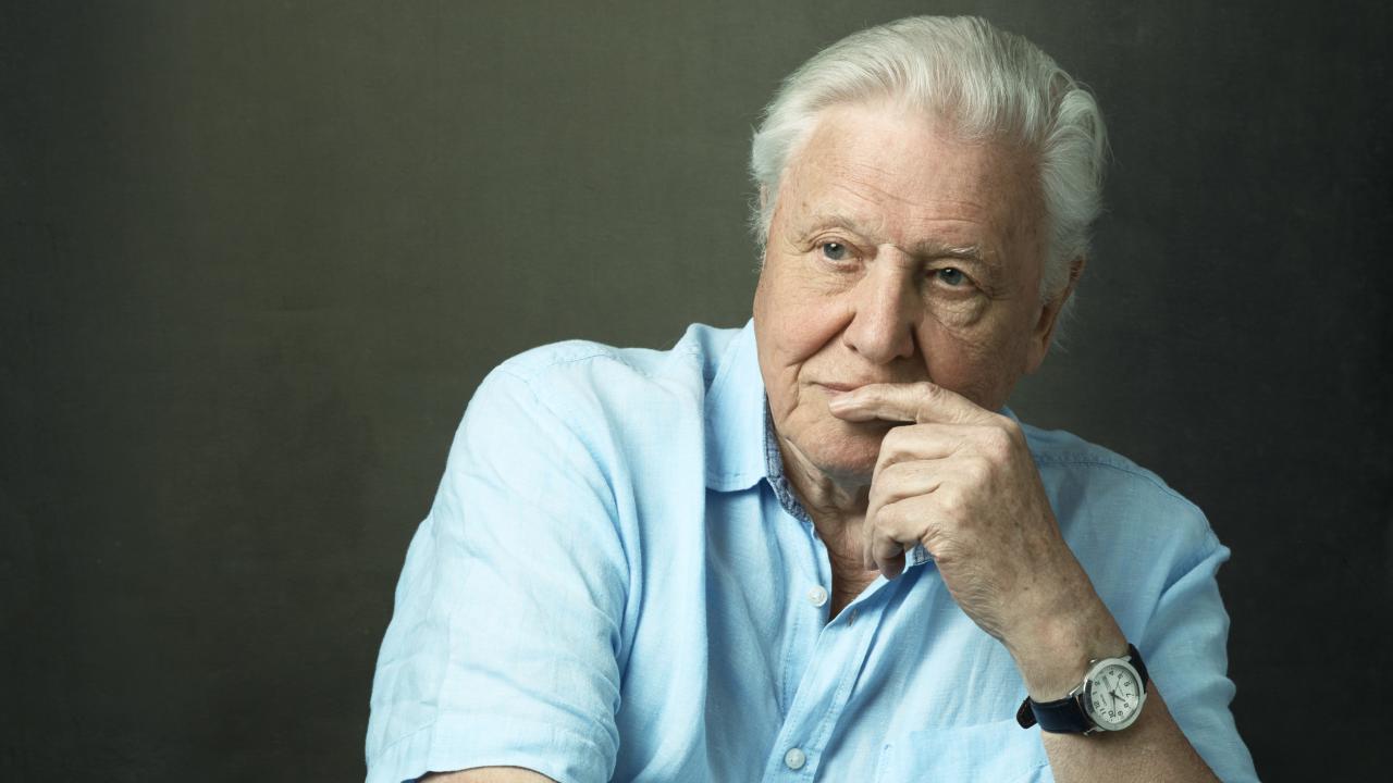 Headshot of Sir David Attenborough
