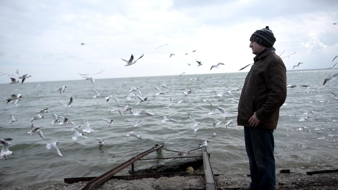 A man wearing a knit hat and brown jacket stands on a rocky shoreline, looking out over a gray, choppy sea as dozens of seagulls fly and hover around him under a cloudy sky.