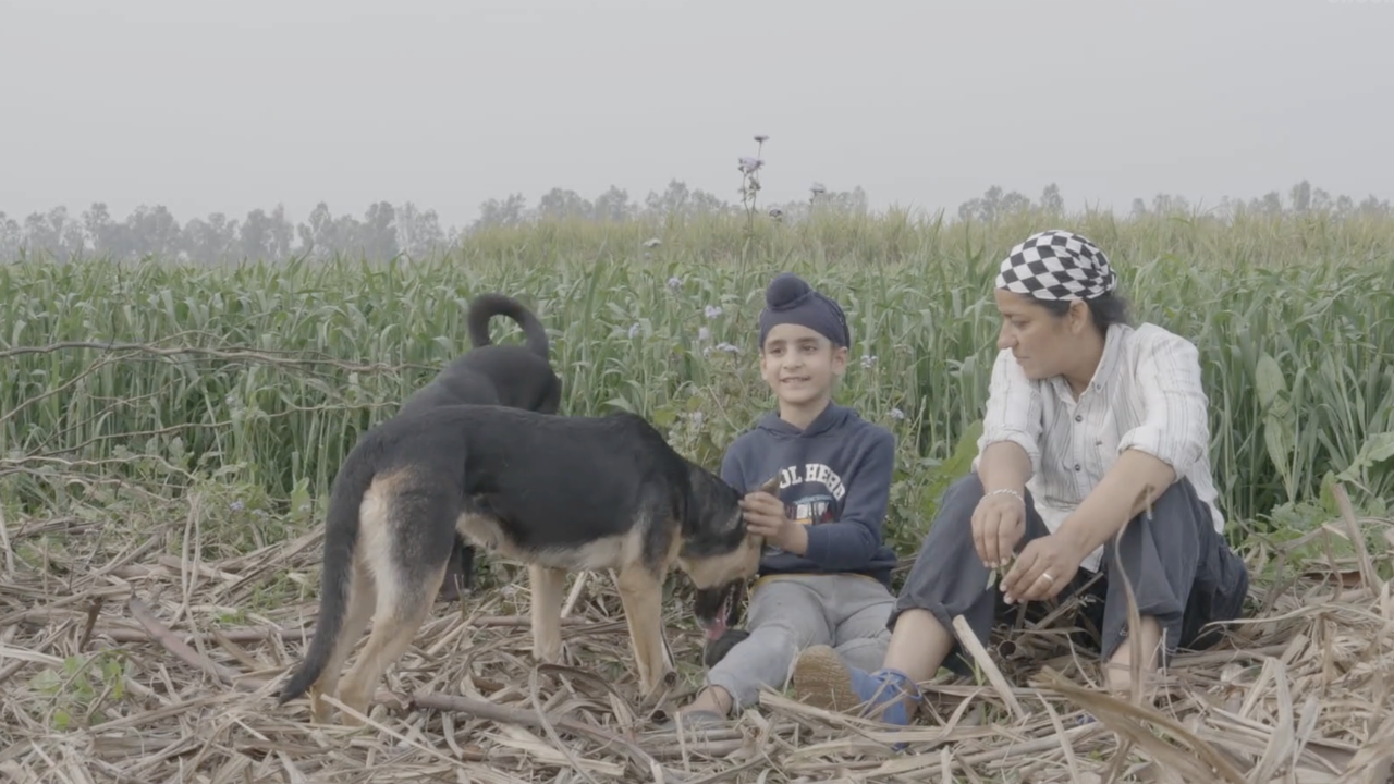 A child and an adult sit on dry plant stalks at the edge of a green field, smiling and interacting with a black-and-tan dog standing in front of them. 