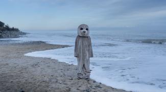 Still from the film From the Wild Sea (2021) Robin Petré. A human dressed in a seal costume stands on a beach.